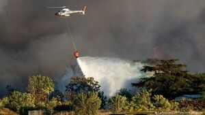 Italia sufre más de 30.000 incendios forestales en el último mes