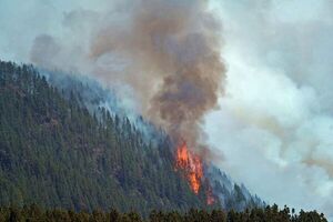 Los incendios foresales queman en España 100.000 hectáreas en dos semanas - Mundo - ABC Color