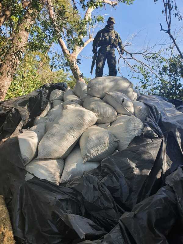 Diario HOY | El PCC domina la producción de marihuana en el departamento de Amambay