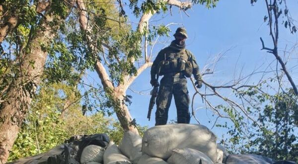 El PCC domina la producción de marihuana en el departamento de Amambay
