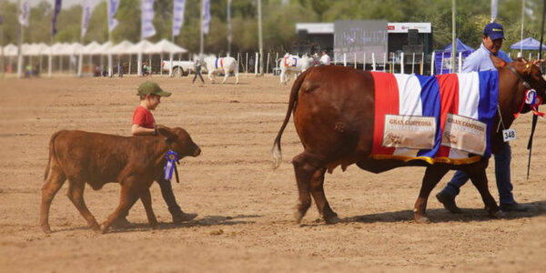 RCC marcará fuerte presencia en la edición 46° de la Expo Rodeo Trébol 2022.