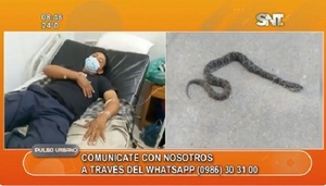 Serpiente ataca a policía en Ñeembucú