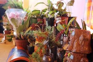 Buscan conformar comité productivo de floricultura y afines •