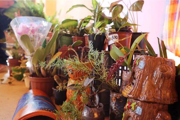 Buscan conformar comité productivo de floricultura y afines •