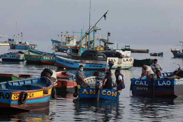 Pescadores peruanos quieren duplicar las exportaciones para el consumo humano - MarketData