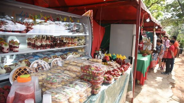 Sabores y colores se imponen en Areguá con arribo de Expo Frutilla