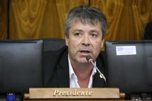 "Depende de los diputados dar un golpe de timón a esta situación" - El Independiente