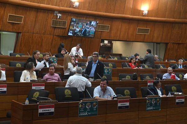En directo: sesión de Diputados en vivo para definir juicio político a Sandra Quiñonez - Política - ABC Color