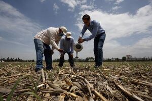 México puede bajar precios de alimentos con cultivo ancestral, dice experto - Mundo - ABC Color