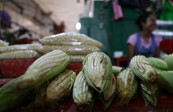 México puede bajar precios de alimentos con cultivo ancestral, dice experto - MarketData