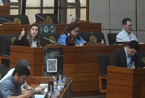 Juicio contra Sandra Quiñónez: impulsores creen que solo falta un voto   - Política - ABC Color