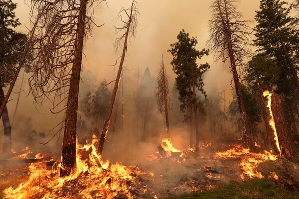 Diario HOY | Miles de evacuados en EEUU mientras el fuego en California se extiende