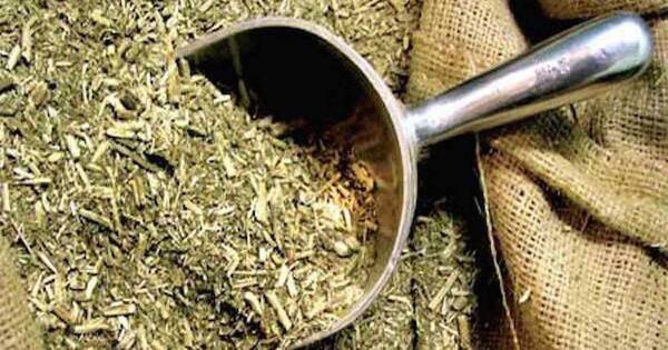 La Nación / Buscan ingresar al mercado asiático