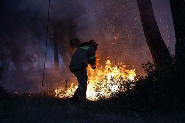 Grecia continúa atrapada por grandes incendios en todo su territorio - Mundo - ABC Color