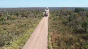Destruyen pistas clandestinas en Parque Nacional