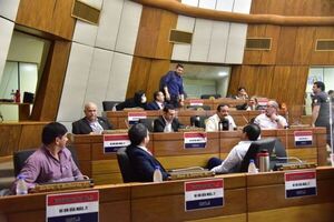 Votos llanistas en disputa por juicio a la fiscala en Diputados