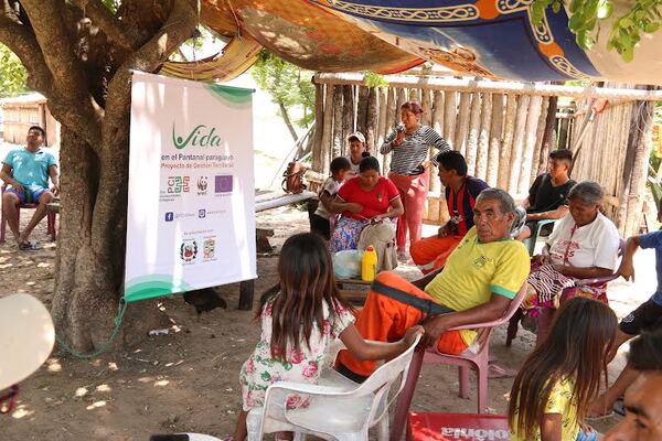 Diario HOY | Vida en el pantanal: buscan mejorar calidad de comunidades