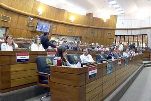 VIVO. Retoman sesión en Diputados | Noticias Paraguay