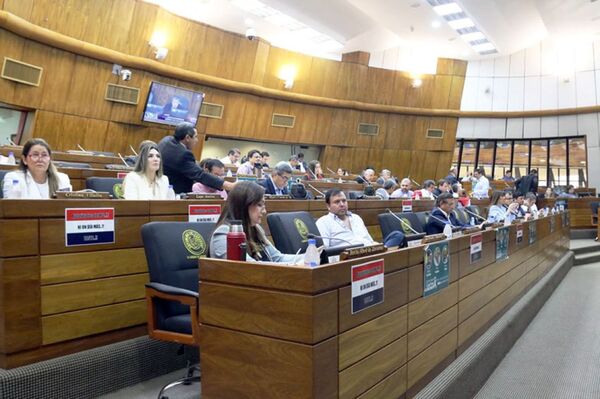 VIVO. Retoman sesión en Diputados | Noticias Paraguay