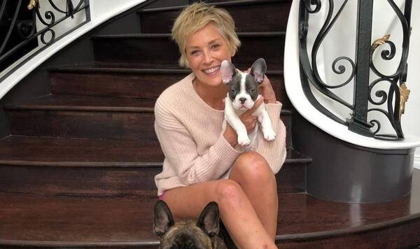 Crónica / ¡Mirá la pose en topless de Sharon Stone a sus 64 años!