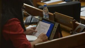 Los apuntes de la diputada Del Pilar Medina: "No soy ilustradísima"