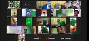 Diputado vota con la hoja de una planta y causa revuelo en redes - Política - ABC Color