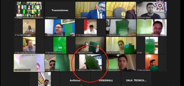 Diputado vota con la hoja de una planta y causa revuelo en redes - Política - ABC Color