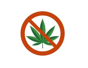 ¿Cuánto ya aprendimos sobre las drogas? - Escolar - ABC Color