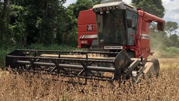 El costo de producción de la soja "de recuperación" subió 40%