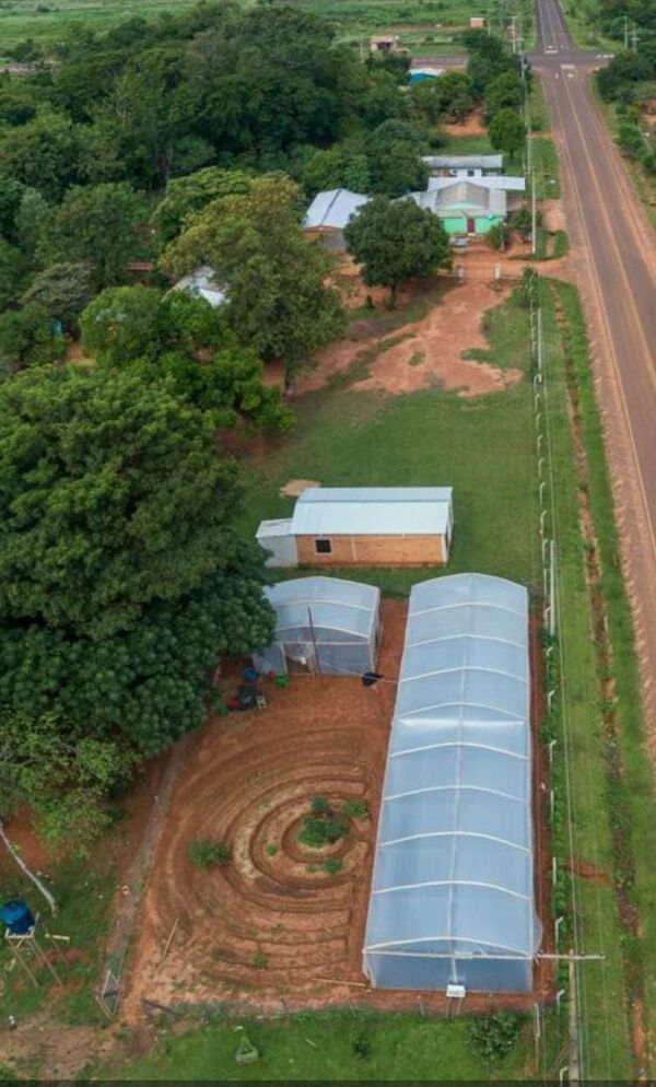 En busca de una nueva ley para el uso y cultivo de marihuana - Nacionales - ABC Color