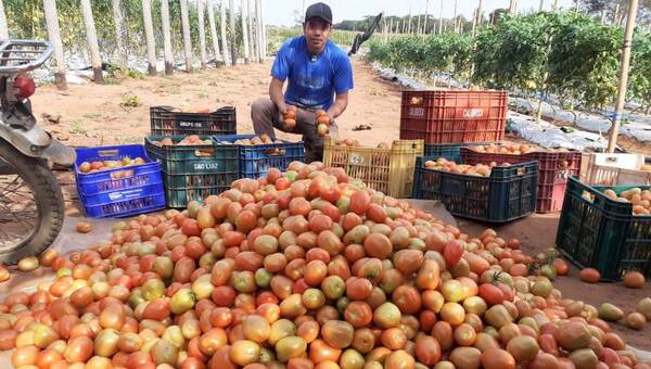 Joven Agricultor y microempresario de Horqueta implementa nuevas técnicas para mejorar producción