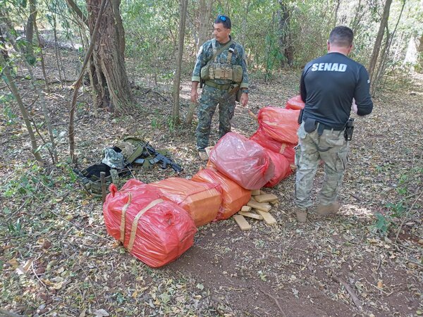 Hallan carga de marihuana oculta en una fosa | 1000 Noticias