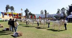 La Nación / Remates en ferias ganaderas de la Expo superaron todas las expectativas