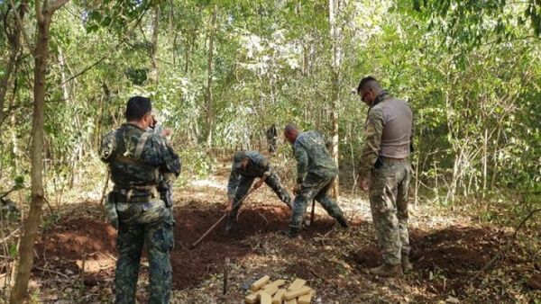 Detectan otra importante carga de marihuana en Amambay