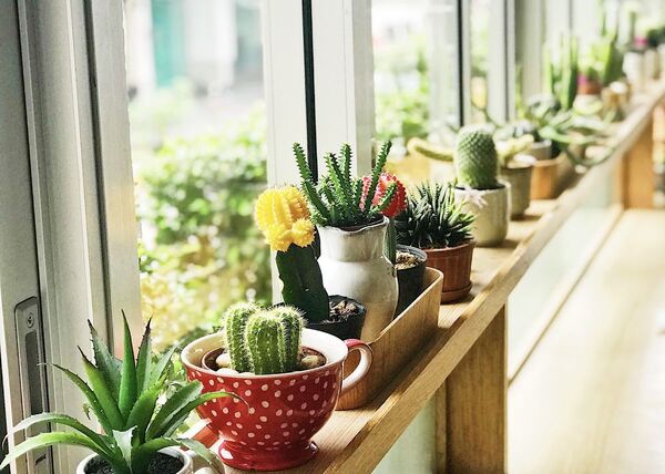 Tus ventanas como centro de atención: un toque especial para el hogar