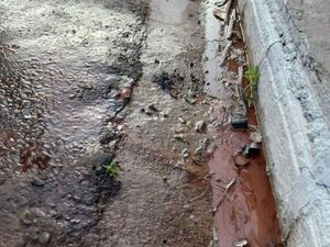 Caño roto hace más de una semana - Nacionales - ABC Color