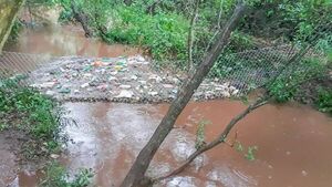 Piden al Mades priorizar proyecto de restauración del Lago de la República - ABC en el Este - ABC Color