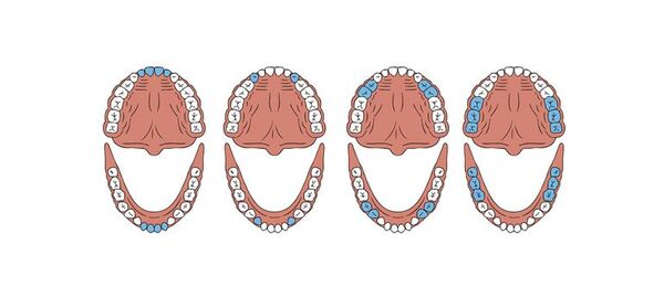 Los dientes - Escolar - ABC Color