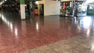 Inició el paro de micros: Pasajeros quedaron varados