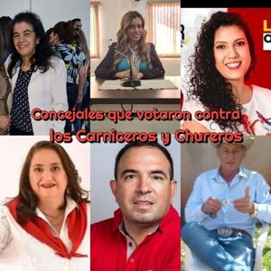 Los concejales que votaron contra los carniceros y chureros de Pedro Juan Caballero