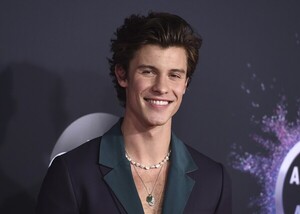 Shawn Mendes cancela el resto de su gira mundial