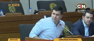 Diputado pide permiso por dos meses - C9N