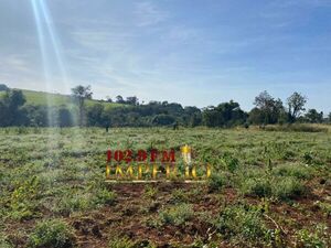 Operativo Basalto: Destruyen cerca de 4 mil kilos de plantaciones de marihuana - Radio Imperio