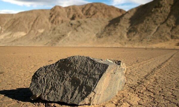 Las piedras vivientes del desierto californiano | Telefuturo