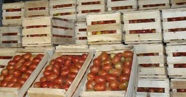 La Nación / Capasu denunciaría a jueces que dan medidas sustitutivas a presuntos contrabandistas de tomate