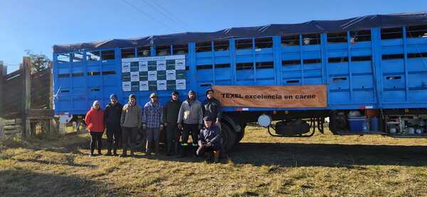 Llegan más ovinos desde Uruguay: un intercambio que inició en 1999 y tiene mucho futuro