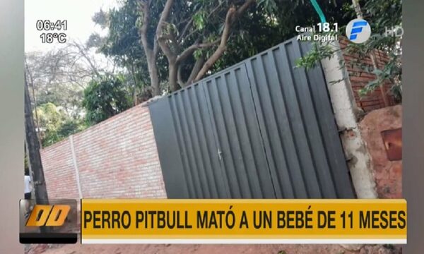 Perro pitbull mató a un bebe de 11 meses | Telefuturo