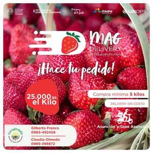 Prosigue el “MAG – Delivery de la Frutilla” para entrega de la fruta en Asunción y Gran Asunción - .::Agencia IP::.