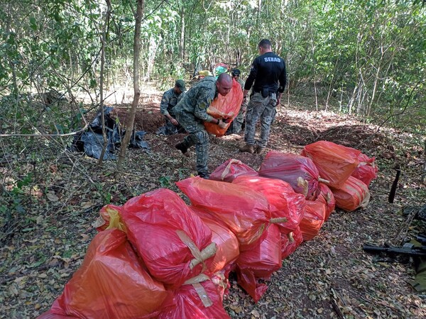 Concentran acciones en Amambay, donde la marihuana echa raíces y mantiene vigoroso el negocio del narcotráfico – La Mira Digital