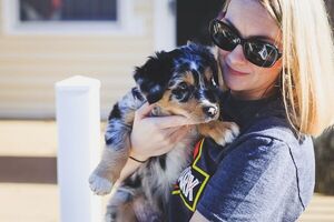 ¿Cuáles son los cuidados que necesita un cachorro?